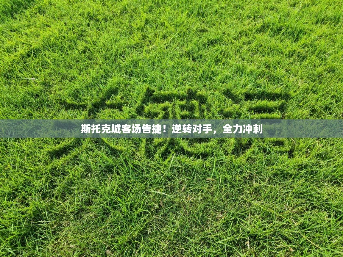 斯托克城客场告捷!逆转对手,全力冲刺 第1张